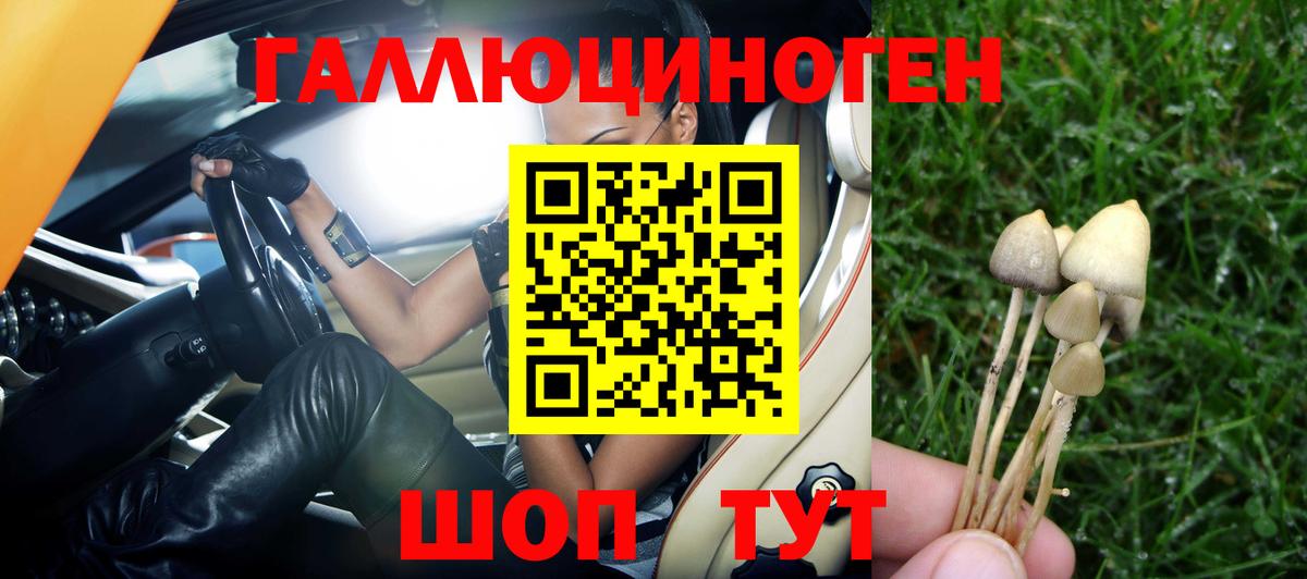 Псилоцибиновые грибы ЛСД Богданович