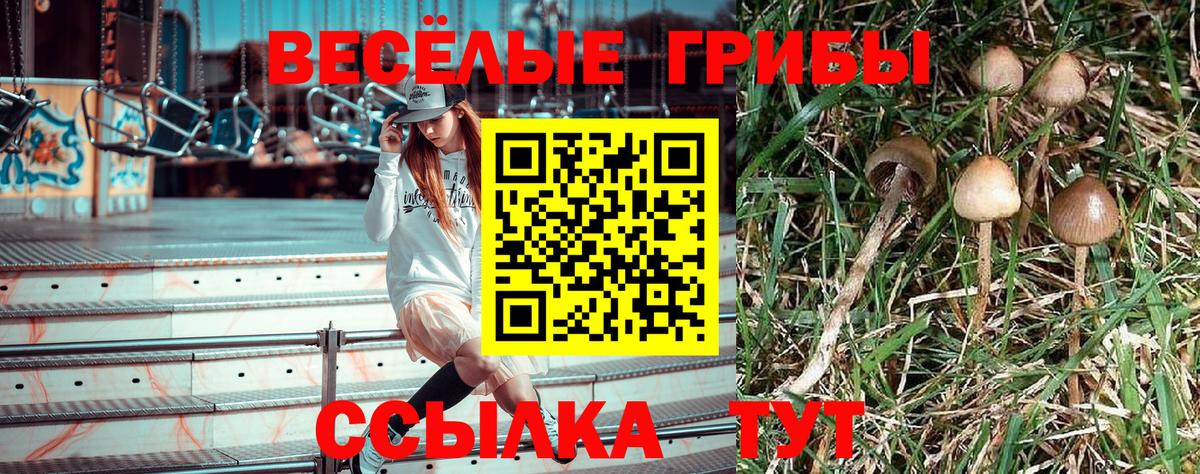 Богданович  Галлюциногенные грибы MAGIC MUSHROOMS  Галлюциногенные грибы мухоморы  Вход с VPN 