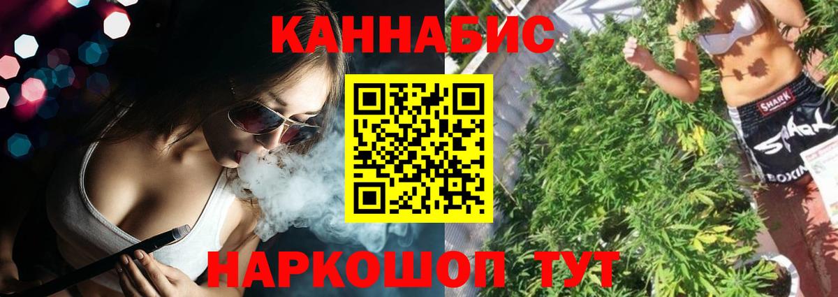 Каннабис план Богданович